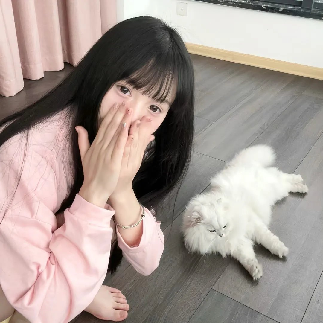 美国犯罪的最后日子